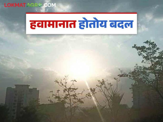 Maharashtra Weather Update: latest news This is the reason for the changing weather; Know the IMD report | Maharashtra Weather Update: बदलत्या हवामानाचे 'हे' आहे कारण; जाणून घ्या IMD रिपोर्ट Maharashtra Weather Update: latest news This is the reason for the changing weather; Know the IMD report | Maharashtra Weather Update: बदलत्या हवामानाचे 'हे' आहे कारण; जाणून घ्या IMD रिपोर्ट