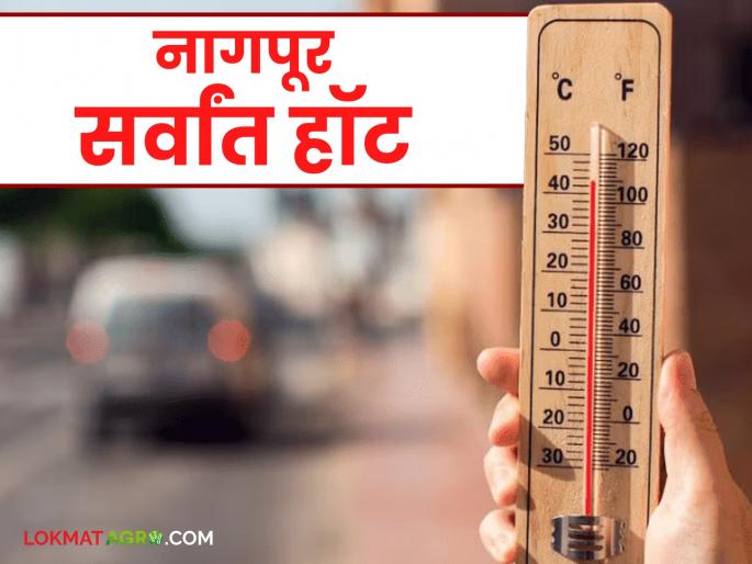 Maharashtra Weather Update: Nagpur is the hottest in the country; mercury @ 44.7; Vidarbha is hot Read in detail | Maharashtra Weather Update: देशात नागपूर सर्वांत हॉट; पारा @ ४४.७; विदर्भ होरपळला वाचा सविस्तर Maharashtra Weather Update: Nagpur is the hottest in the country; mercury @ 44.7; Vidarbha is hot Read in detail | Maharashtra Weather Update: देशात नागपूर सर्वांत हॉट; पारा @ ४४.७; विदर्भ होरपळला वाचा सविस्तर