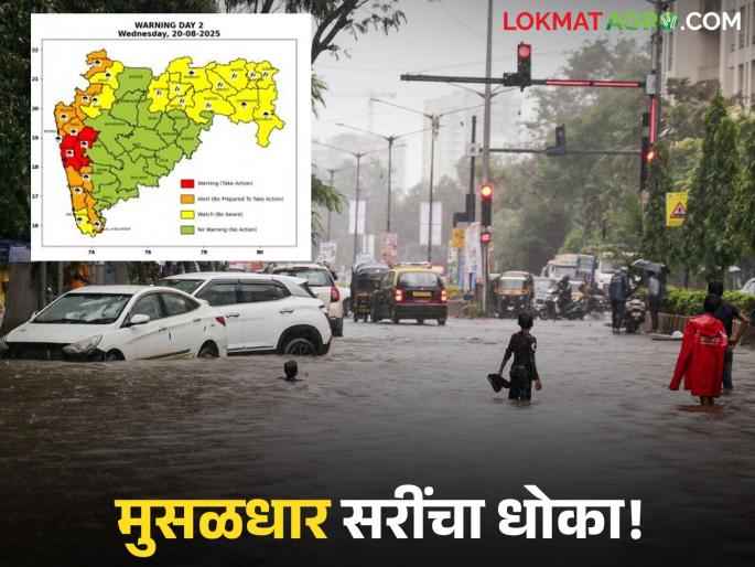 latest news Maharashtra Weather Update: Heavy rains on the Ghats; Farmers should take 'this' important precautions Read in detail | Maharashtra Weather Update : घाटमाथ्यावर मुसळधार पाऊस; शेतकऱ्यांनी घ्यावी 'ही' महत्त्वाची काळजी वाचा सविस्तर