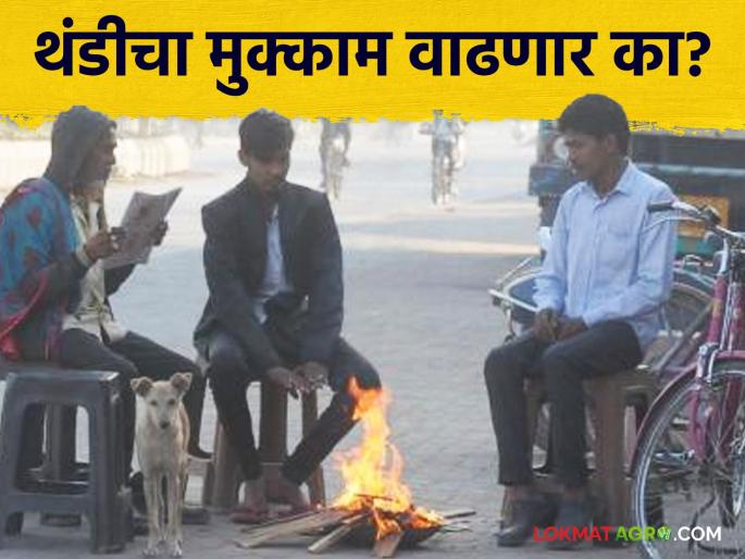 Maharashtra Weather Update : Yellow alert issued in Vidarbha; Read today's IMD report in detail | Maharashtra Weather Update : विदर्भात यलो अलर्ट जारी; काय आहे आजचा IMD रिपोर्ट वाचा सविस्तर Maharashtra Weather Update : Yellow alert issued in Vidarbha; Read today's IMD report in detail | Maharashtra Weather Update : विदर्भात यलो अलर्ट जारी; काय आहे आजचा IMD रिपोर्ट वाचा सविस्तर