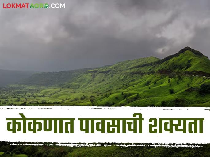 Maharashtra Cold Wave: Cold wave continues in the state; Temperatures drop in 'these' districts | Maharashtra Cold Wave : राज्यात थंडीची लाट कायम; 'या' जिल्ह्यांत पारा घसरला Maharashtra Cold Wave: Cold wave continues in the state; Temperatures drop in 'these' districts | Maharashtra Cold Wave : राज्यात थंडीची लाट कायम; 'या' जिल्ह्यांत पारा घसरला
