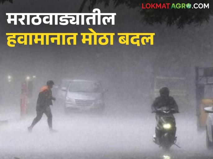 latest news Marathawada Weather Update: Big change in weather in Marathawada; Farmers warned to be alert! Read in detail | Marathawada Weather Update: मराठवाड्यातील हवामानात मोठा बदल; शेतकऱ्यांना सतर्कतेचा इशारा! वाचा सविस्तर