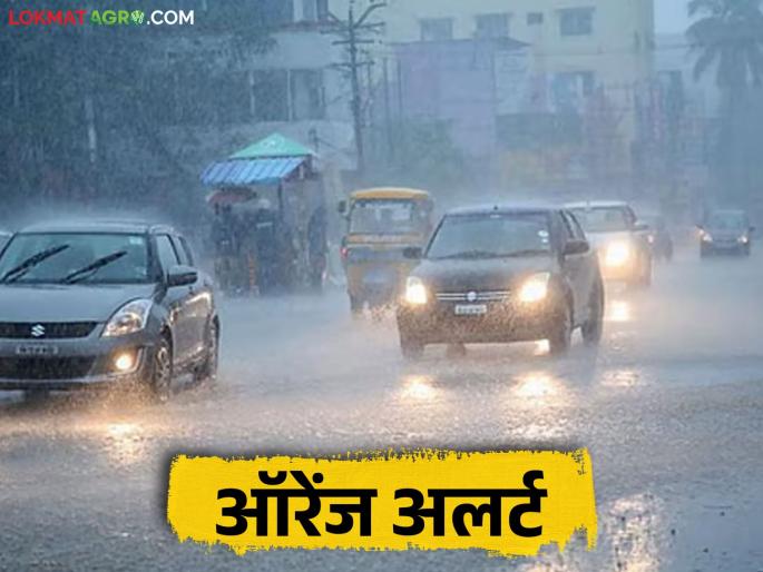 latest news Maharashtra Weather Update: Heavy rain warning; Orange alert in Konkan-Pune Read in detail | Maharashtra Weather Update : मुसळधार पावसाचा इशारा; कोकण-पुण्यात ऑरेंज अलर्ट वाचा सविस्तर