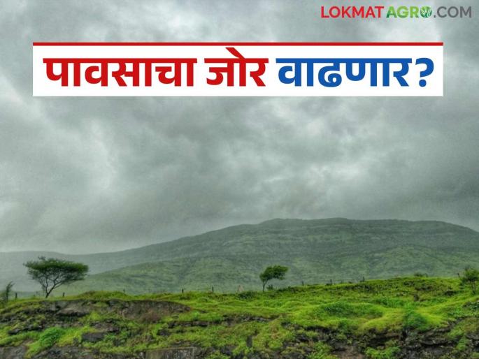 latest news Maharashtra Weather Update: Will the intensity of rain increase or decrease? Read the IMD report in detail. | Maharshtra Weather Update : पावसाचा जोर वाढणार की ओसरणार? काय सांगतो IMD रिपोर्ट वाचा सविस्तर