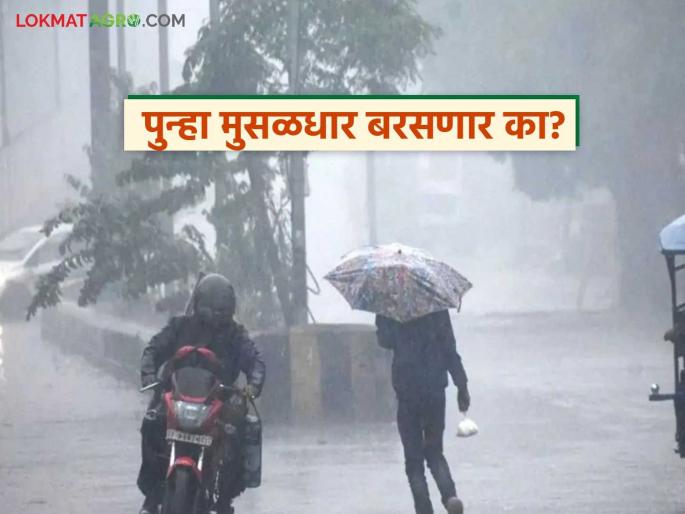 latest news Maharashtra Weather Update: IMD Alert: Heavy rains again from Konkan to Vidarbha Read in detail | Maharashtra Weather Update : IMD अलर्ट : कोकण ते विदर्भ मुसळधार पुन्हा पावसाचा इशारा वाचा सविस्तर