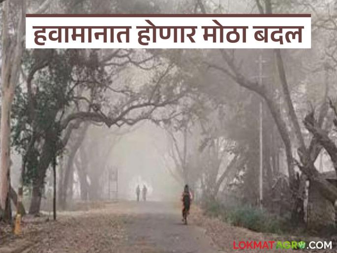 latest news Maharashtra Weather Alert: There will be a big change in the weather; Where will it rain, where will it be cold? Read in detail | Maharashtra Weather Alert : हवामानात होणार मोठा बदल; कुठे पाऊस, कुठे थंडी? वाचा सविस्तर