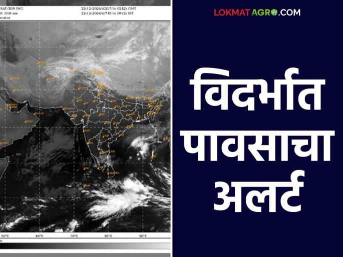 Maharashtra Weather Update : Change in weather; Chance of rain in Vidarbha; Read IMD report in detail | Maharashtra Weather Update : हवामानात बदल; विदर्भात पावसाची शक्यता; IMD चा रिपोर्ट वाचा सविस्तर Maharashtra Weather Update : Change in weather; Chance of rain in Vidarbha; Read IMD report in detail | Maharashtra Weather Update : हवामानात बदल; विदर्भात पावसाची शक्यता; IMD चा रिपोर्ट वाचा सविस्तर