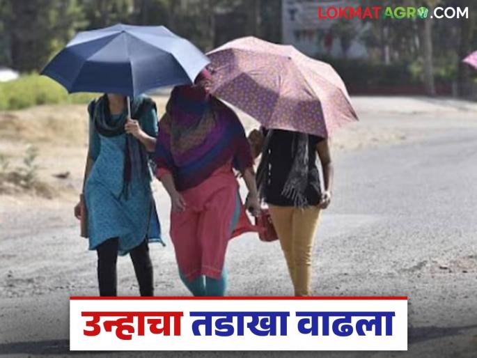Maharashtra Weather Update: latest news Highest temperature recorded in Satara, Nandurbar districts; Read in detail what the weather will be like | Maharashtra Weather Update: सातारा, नंदुरबार जिल्ह्यात सर्वाधिक तापमानाची नोंद; कसे असेल हवामान वाचा सविस्तर Maharashtra Weather Update: latest news Highest temperature recorded in Satara, Nandurbar districts; Read in detail what the weather will be like | Maharashtra Weather Update: सातारा, नंदुरबार जिल्ह्यात सर्वाधिक तापमानाची नोंद; कसे असेल हवामान वाचा सविस्तर