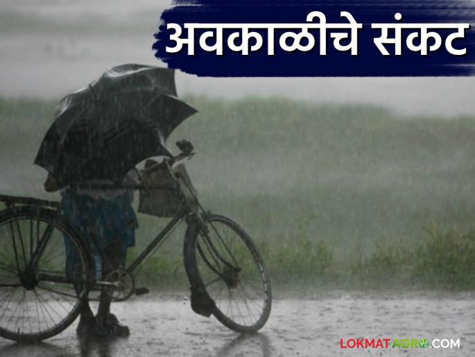 Maharashtra Weather Update: latest news Big warning of unseasonal rains with lightning in 'this' district of the state, read in detail | Maharashtra Weather Update : राज्यात 'या' जिल्ह्यात विजांसह अवकाळी पावसाचा मोठा इशारा वाचा सविस्तर Maharashtra Weather Update: latest news Big warning of unseasonal rains with lightning in 'this' district of the state, read in detail | Maharashtra Weather Update : राज्यात 'या' जिल्ह्यात विजांसह अवकाळी पावसाचा मोठा इशारा वाचा सविस्तर