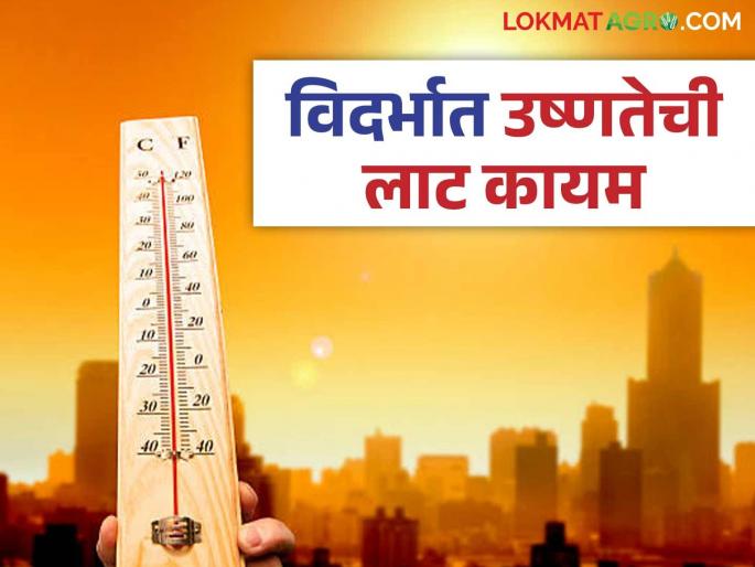 Maharashtra Weather Update: Heat Wave continues over Vidarbha; Read in detail | Maharashtra Weather Update: विदर्भावर सूर्यदेवाचा प्रकोप कायम; वाचा सविस्तर Maharashtra Weather Update: Heat Wave continues over Vidarbha; Read in detail | Maharashtra Weather Update: विदर्भावर सूर्यदेवाचा प्रकोप कायम; वाचा सविस्तर