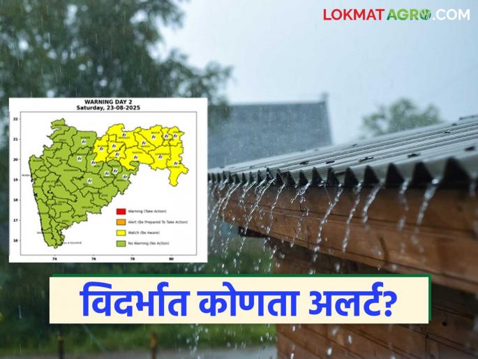 latest news Maharashtra Weather Update: IMD's weather forecast: Where in the state will there be heavy rain in the next 24 hours? Read in detail | Maharashtra Weather Update: IMD चा हवामान अंदाज : पुढील २४ तासांत राज्यात कुठे मुसळधार पाऊस? वाचा सविस्तर