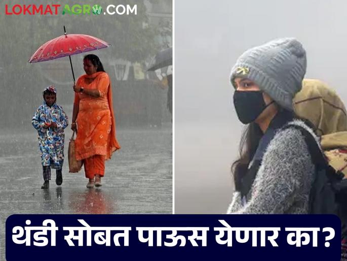 Maharashtra Weather Update: Cold coupled with unseasonal rains; Read today's IMD report in detail | Maharashtra Weather Update: थंडीसोबत अवकाळी पावसाचे संकट; काय आहे आजचा IMD रिपोर्ट वाचा सविस्तर Maharashtra Weather Update: Cold coupled with unseasonal rains; Read today's IMD report in detail | Maharashtra Weather Update: थंडीसोबत अवकाळी पावसाचे संकट; काय आहे आजचा IMD रिपोर्ट वाचा सविस्तर