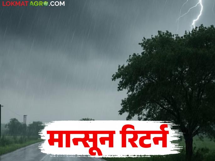 latest news Maharashtra Weather Update : Monsoon returns: Heavy rain, hailstorm in the state including Vidarbha for four days! read in details | Maharashtra Weather Update: मान्सून रिटर्न : विदर्भासह राज्यात पुन्हा मुसळधार पाऊस! वाचा सविस्तर latest news Maharashtra Weather Update : Monsoon returns: Heavy rain, hailstorm in the state including Vidarbha for four days! read in details | Maharashtra Weather Update: मान्सून रिटर्न : विदर्भासह राज्यात पुन्हा मुसळधार पाऊस! वाचा सविस्तर