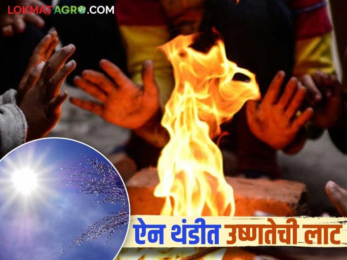 Maharashtra Weather Update: After morning drizzle, IMD warns of hot weather in the afternoon | Maharashtra Weather Update : सकाळच्या गारव्यानंतर दुपारी उन्हाचा चटका वाचा IMD चा अलर्ट Maharashtra Weather Update: After morning drizzle, IMD warns of hot weather in the afternoon | Maharashtra Weather Update : सकाळच्या गारव्यानंतर दुपारी उन्हाचा चटका वाचा IMD चा अलर्ट