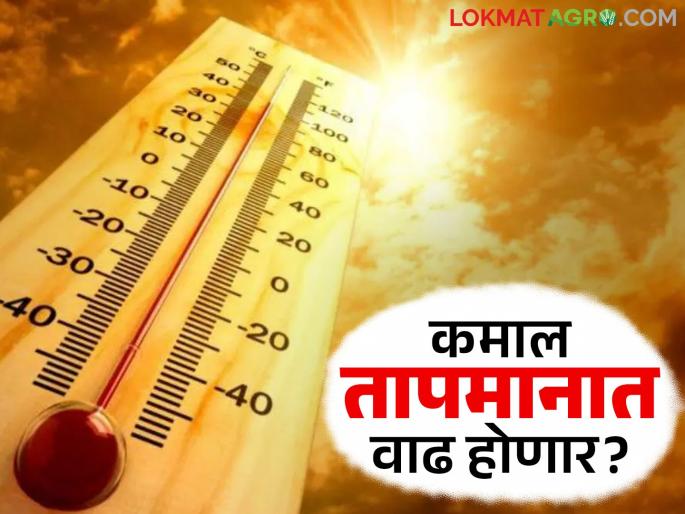 Maharashtra Weather Update: Maximum temperature will increase in the state; Read today's IMD report in detail | Maharashtra Weather Update : राज्यात कमाल तापमानात होणार वाढ; काय आजचा IMD रिपोर्ट वाचा सविस्तर Maharashtra Weather Update: Maximum temperature will increase in the state; Read today's IMD report in detail | Maharashtra Weather Update : राज्यात कमाल तापमानात होणार वाढ; काय आजचा IMD रिपोर्ट वाचा सविस्तर