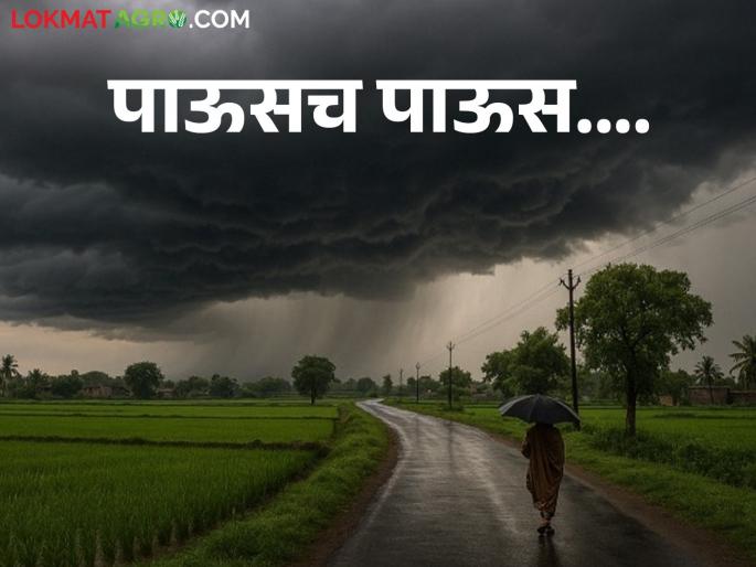 latest news Maharashtra weather update: Heavy rains likely in many districts including Pune-Mumbai; IMD alert | Maharashtra Rain Alert : पुणे-मुंबईसह अनेक जिल्ह्यांना मुसळधार पावसाचा धोका; IMD चा अलर्ट latest news Maharashtra weather update: Heavy rains likely in many districts including Pune-Mumbai; IMD alert | Maharashtra Rain Alert : पुणे-मुंबईसह अनेक जिल्ह्यांना मुसळधार पावसाचा धोका; IMD चा अलर्ट