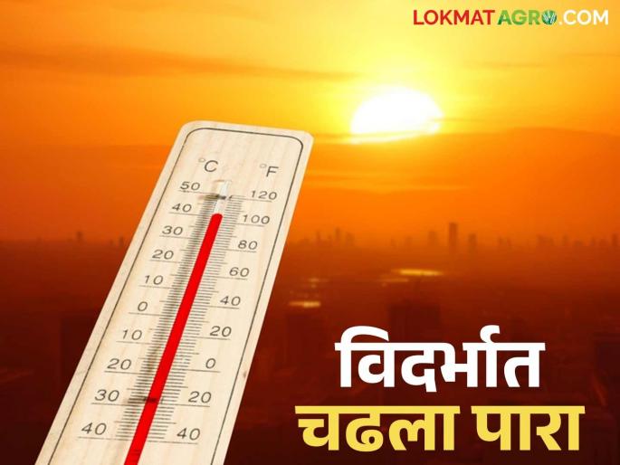 Maharashtra Weather Update: Severe weather warning in Konkan; Temperatures rise in Vidarbha, read detailed weather forecast | Maharashtra Weather Update: कोकणात अवकाळीचा इशारा; विदर्भात चढला पारा वाचा हवामान अंदाज सविस्तर Maharashtra Weather Update: Severe weather warning in Konkan; Temperatures rise in Vidarbha, read detailed weather forecast | Maharashtra Weather Update: कोकणात अवकाळीचा इशारा; विदर्भात चढला पारा वाचा हवामान अंदाज सविस्तर