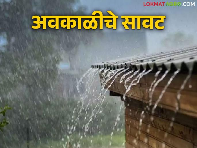 Maharashtra Weather Update: Unseasonal weather crisis in the state once again; Read in detail what the weather will be like today | Maharashtra Weather Update: राज्यात परत एकदा अवकाळीचे संकट; कसे असेल आज हवामान वाचा सविस्तर Maharashtra Weather Update: Unseasonal weather crisis in the state once again; Read in detail what the weather will be like today | Maharashtra Weather Update: राज्यात परत एकदा अवकाळीचे संकट; कसे असेल आज हवामान वाचा सविस्तर