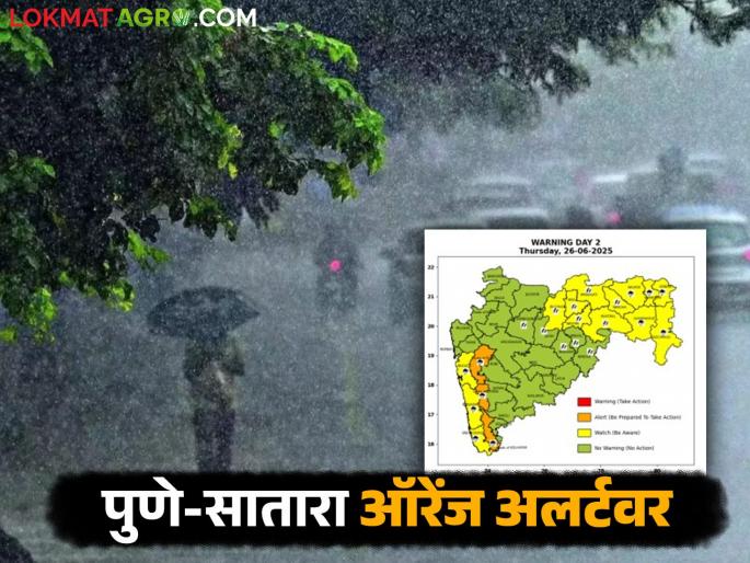 latest news Maharashtra Rain Alert: Heavy rains make a comeback! Alert for 12 districts in the Maharashtra; Is your district among them? Read in detail | Maharashtra Rain Alert : पावसाचा जोरदार कमबॅक! राज्यात १२ जिल्ह्यांना अलर्ट; तुमचा जिल्हा यात आहे का? वाचा सविस्तर latest news Maharashtra Rain Alert: Heavy rains make a comeback! Alert for 12 districts in the Maharashtra; Is your district among them? Read in detail | Maharashtra Rain Alert : पावसाचा जोरदार कमबॅक! राज्यात १२ जिल्ह्यांना अलर्ट; तुमचा जिल्हा यात आहे का? वाचा सविस्तर