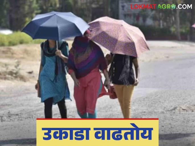 Maharashtra Weather Update:Latest news of weather is Heatwave begins in the state; Read IMD detailed report | Maharashtra Weather Update: राज्यात उकाड्याला सुरूवात; वाचा IMD चा सविस्तर रिपोर्ट Maharashtra Weather Update:Latest news of weather is Heatwave begins in the state; Read IMD detailed report | Maharashtra Weather Update: राज्यात उकाड्याला सुरूवात; वाचा IMD चा सविस्तर रिपोर्ट