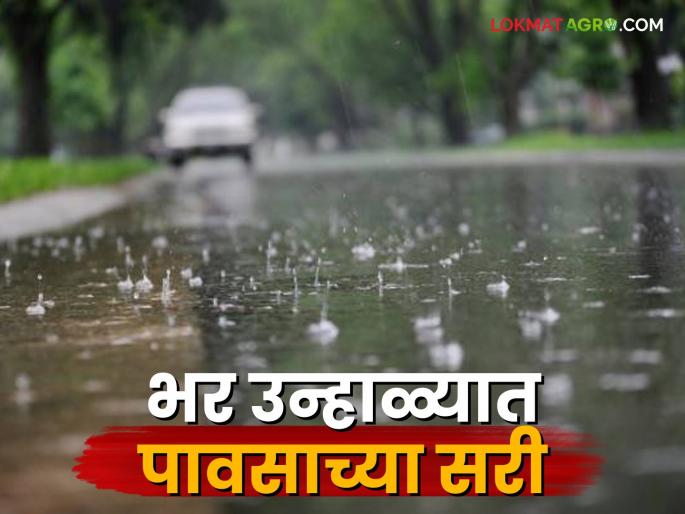 Maharashtra Weather Update: Where will the sun shine in the state and where will the unseasonal rains hit? Read in detail | Maharashtra Weather Update : राज्यात कुठे असेल सुर्याचा प्रकोप तर कुठे असेल अवकाळीचा मारा वाचा सविस्तर Maharashtra Weather Update: Where will the sun shine in the state and where will the unseasonal rains hit? Read in detail | Maharashtra Weather Update : राज्यात कुठे असेल सुर्याचा प्रकोप तर कुठे असेल अवकाळीचा मारा वाचा सविस्तर
