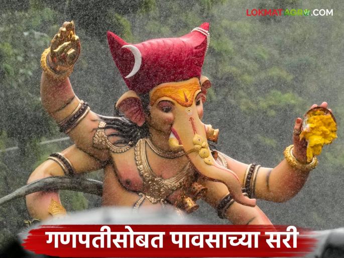 latest news Maharashtra Weather Update: Ganpati Bappa Morya and showers of rain; Read details of yellow-orange alert in the state | Maharashtra Weather Update : गणपती बाप्पा मोरया अन् पावसाच्या सरी; राज्यात यलो-ऑरेंज अलर्ट वाचा सविस्तर
