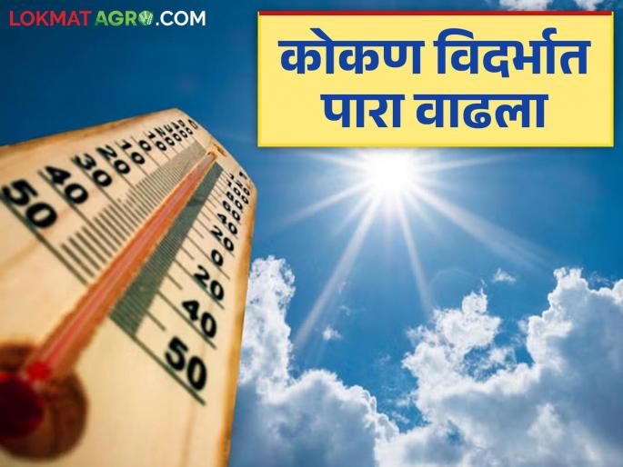 Maharashtra Weather Update: latest news Warming in Konkan, Vidarbha; What the IMD report says | Maharashtra Weather Update: कोकण, विदर्भात तापमानवाढ; काय सांगतोय IMD रिपोर्ट Maharashtra Weather Update: latest news Warming in Konkan, Vidarbha; What the IMD report says | Maharashtra Weather Update: कोकण, विदर्भात तापमानवाढ; काय सांगतोय IMD रिपोर्ट