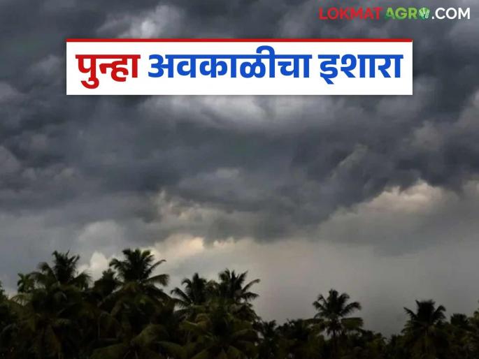 Maharashtra Weather Update: latest news Temperatures rise, unseasonal rains; What is today's IMD report? | Maharashtra Weather Update: कुठे तापमान वाढ तर कुठे अवकाळीचा मारा; काय आहे आजचा IMD रिपोर्ट Maharashtra Weather Update: latest news Temperatures rise, unseasonal rains; What is today's IMD report? | Maharashtra Weather Update: कुठे तापमान वाढ तर कुठे अवकाळीचा मारा; काय आहे आजचा IMD रिपोर्ट