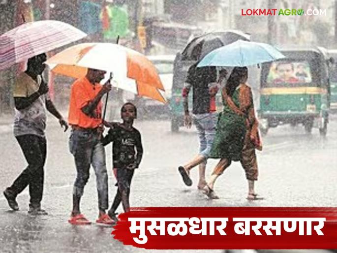 latest news Maharashtra Weather Update: Monsoon has not stopped yet; Red-Yellow alert issued for these districts in Maharashtra Read in detail | Maharashtra Weather Update : मान्सून अजून थांबला नाही; 'या' जिल्ह्यांना रेड-यलो अलर्ट जारी वाचा सविस्तर