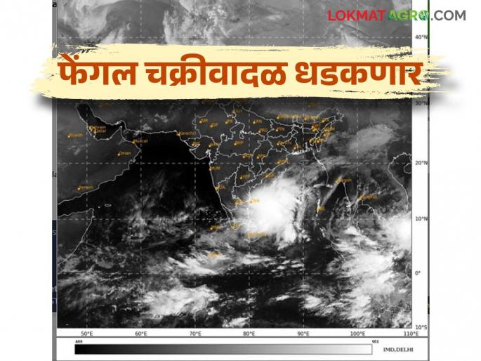 Maharashtra Weather Update : What will be the impact of Cyclone Fengal on Maharashtra; Read the IMD report in detail | Maharashtra Weather Update : फेंगल चक्रीवादळाचा महाराष्ट्रावर काय होणार परिणाम; IMD रिपोर्ट वाचा सविस्तर