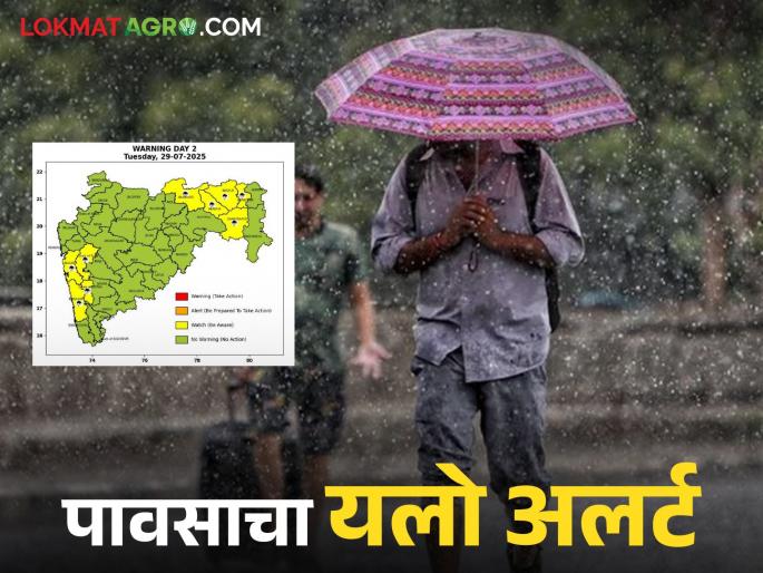 latest news Maharashtra Weather Update: Heavy rain in Konkan-Vidarbha; Alert issued till July 31 Read in detail | Maharashtra Weather Update : कोकण-विदर्भात पावसाचा जोर; ३१ जुलैपर्यंत अलर्ट जारी वाचा सविस्तर