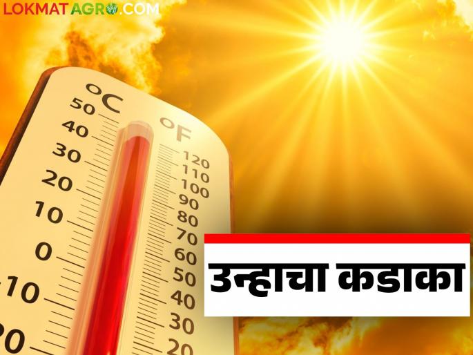 Maharashtra Weather Update : latest news What will the weather be like on Akshaya Tritiya in the state? Read the detailed IMD report. | Maharashtra Weather Update: अक्षय तृतीयेला कसे असेल राज्यातील हवामान वाचा सविस्तर IMD रिपोर्ट Maharashtra Weather Update : latest news What will the weather be like on Akshaya Tritiya in the state? Read the detailed IMD report. | Maharashtra Weather Update: अक्षय तृतीयेला कसे असेल राज्यातील हवामान वाचा सविस्तर IMD रिपोर्ट