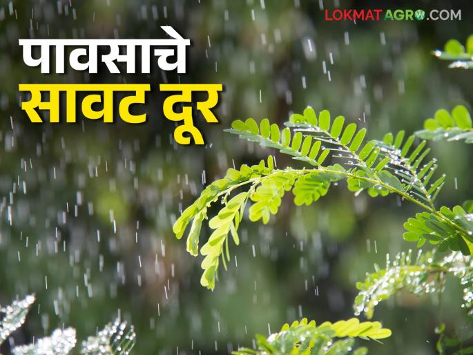 Maharashtra Weather Update: How will the weather be on the last day of the year2024? Read the IMD report in detail. | Maharashtra Weather Update : वर्षातील शेवटच्या दिवशी कसे असेल हवामान IMD रिपोर्ट वाचा सविस्तर Maharashtra Weather Update: How will the weather be on the last day of the year2024? Read the IMD report in detail. | Maharashtra Weather Update : वर्षातील शेवटच्या दिवशी कसे असेल हवामान IMD रिपोर्ट वाचा सविस्तर