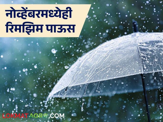 latest news Maharashtra Weather Update: Showers again on Konkan coas; fishermen warned to be alert | Maharashtra Weather Update : कोकण किनारपट्टीवर पुन्हा सरी; मच्छीमारांना सतर्कतेचा इशारा latest news Maharashtra Weather Update: Showers again on Konkan coas; fishermen warned to be alert | Maharashtra Weather Update : कोकण किनारपट्टीवर पुन्हा सरी; मच्छीमारांना सतर्कतेचा इशारा