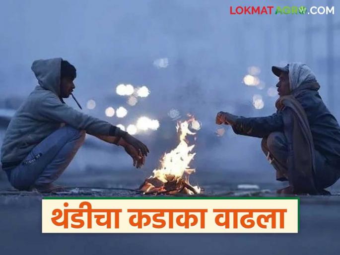 latest news Cold Wave in Maharashtra: The severity of the cold has increased; Read the warning given by IMD in detail | Cold Wave in Maharashtra : थंडीचा कडाका वाढला; IMD ने काय दिलाय इशारा वाचा सविस्तर latest news Cold Wave in Maharashtra: The severity of the cold has increased; Read the warning given by IMD in detail | Cold Wave in Maharashtra : थंडीचा कडाका वाढला; IMD ने काय दिलाय इशारा वाचा सविस्तर