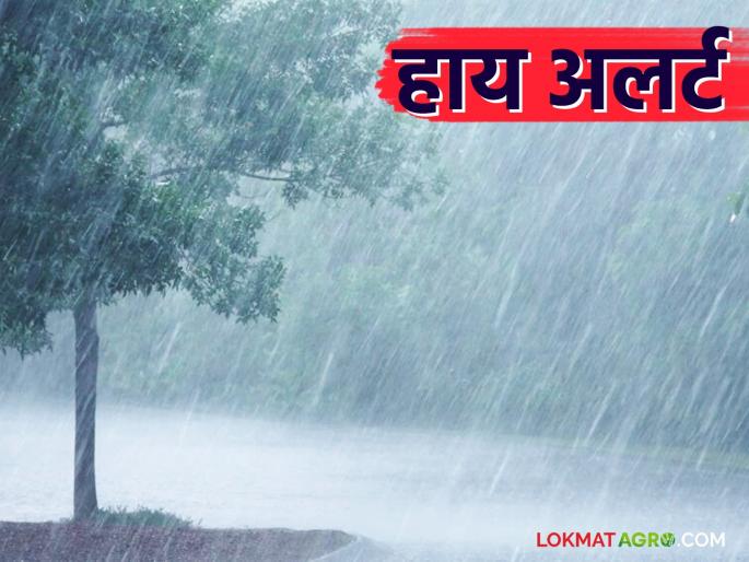 Maharashtra Weather Update: latest news High alert issued for unseasonal rains in the state today; Read IMD report in detail | Maharashtra Weather Update: राज्यात आज अवकाळी पावसाचा हाय अलर्ट जारी; वाचा IMD रिपोर्ट सविस्तर Maharashtra Weather Update: latest news High alert issued for unseasonal rains in the state today; Read IMD report in detail | Maharashtra Weather Update: राज्यात आज अवकाळी पावसाचा हाय अलर्ट जारी; वाचा IMD रिपोर्ट सविस्तर