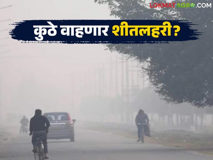 latest news Cold Wave in Maharashtra: Heat during the day, cold at night; Where will the cold wave blow in the state? Read in detail | Cold Wave in Maharashtra : दिवसा ऊन, रात्री गारठा; राज्यात कुठे वाहणार शीतलहरी? वाचा सविस्तर