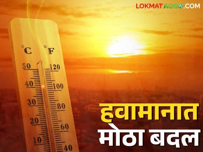Maharashtra Weather Update : Latest News Maharashtra Weather Update: latest news Temperature is rising in the state; A major change in climate is likely | Maharashtra Weather Update: राज्यात तापमानाचा पारा वाढतोय; हवामानात मोठ्या बदलाची शक्यता Maharashtra Weather Update : Latest News Maharashtra Weather Update: latest news Temperature is rising in the state; A major change in climate is likely | Maharashtra Weather Update: राज्यात तापमानाचा पारा वाढतोय; हवामानात मोठ्या बदलाची शक्यता