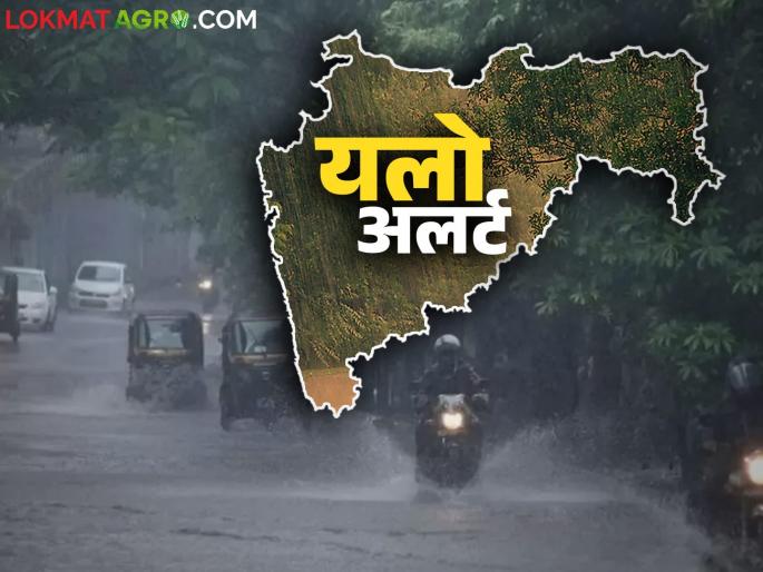Maharashtra Weather Update: Yellow alert issued for bad weather in 'this' part of the state; Read detailed IMD report | Maharashtra Weather Update: राज्यातील 'या' भागात अवकळीचा यलो अलर्ट जारी; वाचा सविस्तर IMD रिपोर्ट Maharashtra Weather Update: Yellow alert issued for bad weather in 'this' part of the state; Read detailed IMD report | Maharashtra Weather Update: राज्यातील 'या' भागात अवकळीचा यलो अलर्ट जारी; वाचा सविस्तर IMD रिपोर्ट