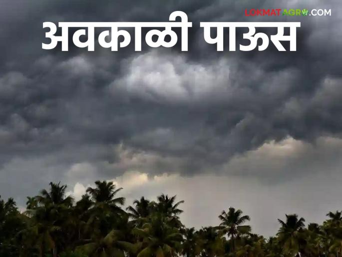 Maharashtra Weather Update : Unseasonal rains in 'this' district of the state; Read the IMD report in detail | Maharashtra Weather Update : राज्यात 'या' जिल्ह्यात अवकाळी पावसाची हजेरी ; IMD चा रिपोर्ट वाचा सविस्तर Maharashtra Weather Update : Unseasonal rains in 'this' district of the state; Read the IMD report in detail | Maharashtra Weather Update : राज्यात 'या' जिल्ह्यात अवकाळी पावसाची हजेरी ; IMD चा रिपोर्ट वाचा सविस्तर
