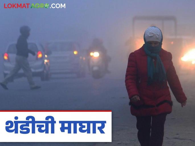 Maharashtra Weather Update: latest news Cold weather is back; Read today's IMD report in detail to see what the summer forecast is saying | Maharashtra Weather Upate: थंडीची माघार; उन्हाळ्याची चाहुल काय सांगतोय आजचा IMD रिपोर्ट वाचा सविस्तर Maharashtra Weather Update: latest news Cold weather is back; Read today's IMD report in detail to see what the summer forecast is saying | Maharashtra Weather Upate: थंडीची माघार; उन्हाळ्याची चाहुल काय सांगतोय आजचा IMD रिपोर्ट वाचा सविस्तर