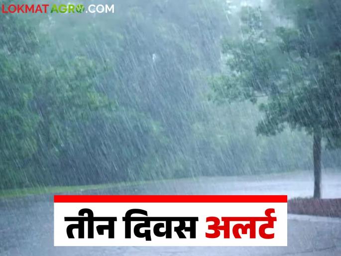 Maharashtra weather: latest news Highest risk of unseasonal weather in 'this' district of the state; Read IMD report in detail | Maharashtra weather Update: राज्यातील 'या' जिल्ह्यात अवकाळीचा सर्वाधिक धोका; वाचा IMD रिपोर्ट सविस्तर Maharashtra weather: latest news Highest risk of unseasonal weather in 'this' district of the state; Read IMD report in detail | Maharashtra weather Update: राज्यातील 'या' जिल्ह्यात अवकाळीचा सर्वाधिक धोका; वाचा IMD रिपोर्ट सविस्तर