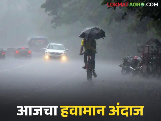 latest news Maharashtra Weather Update: Rain clouds will thunder again; Where is the Meteorological Department's alert? Read in detail | Maharashtra Weather Update : पावसाचे ढग पुन्हा गडगडणार; हवामान खात्याचा अलर्ट कुठे? वाचा सविस्तर latest news Maharashtra Weather Update: Rain clouds will thunder again; Where is the Meteorological Department's alert? Read in detail | Maharashtra Weather Update : पावसाचे ढग पुन्हा गडगडणार; हवामान खात्याचा अलर्ट कुठे? वाचा सविस्तर