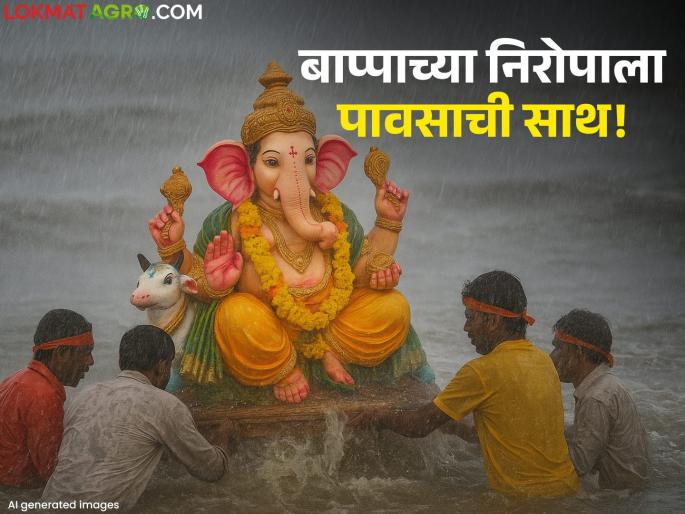 latest news Maharashtra Weather Update: Rain accompanies Bappa's farewell; Read the warning given by IMD in detail | Maharashtra Weather Update : बाप्पाच्या निरोपाला पावसाची साथ; IMD ने काय दिला इशारा वाचा सविस्तर