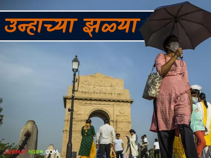 Maharashtra Weather Update: latest news Sun showers during the day in Maharashtra; Read today's IMD report in detail | Maharashtra Weather Update: महाराष्ट्रात दिवसा उन्हाच्या झळ्या; आजचा IMD रिपोर्ट वाचा सविस्तर Maharashtra Weather Update: latest news Sun showers during the day in Maharashtra; Read today's IMD report in detail | Maharashtra Weather Update: महाराष्ट्रात दिवसा उन्हाच्या झळ्या; आजचा IMD रिपोर्ट वाचा सविस्तर