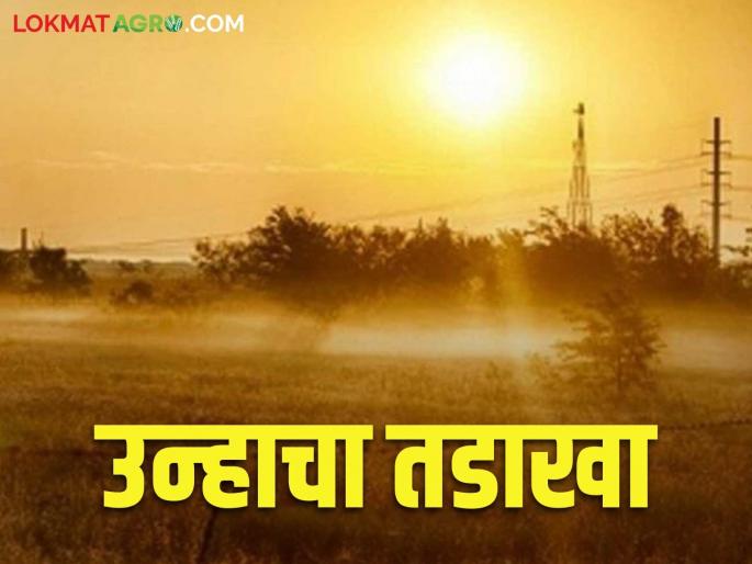 Maharashtra Weather Update: latest news Impact of cold wave in northern states; Read in detail what will happen in the state | Maharahstra Weather Update: उत्तरेकडील राज्यांमध्ये शीतलहरींचा प्रभाव; राज्यात काय होईल परिणाम वाचा सविस्तर Maharashtra Weather Update: latest news Impact of cold wave in northern states; Read in detail what will happen in the state | Maharahstra Weather Update: उत्तरेकडील राज्यांमध्ये शीतलहरींचा प्रभाव; राज्यात काय होईल परिणाम वाचा सविस्तर