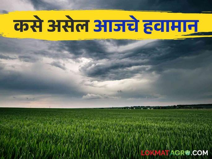 Maharashtra Weather Update : 'Yellow Alert' for 'these' districts in Marathwada including Vidarbha; Read the IMD report in detail | Maharashtra Weather Update : विदर्भासह मराठवाड्यात 'या' जिल्ह्यांना 'यलो अलर्ट'; IMD रिपोर्ट वाचा सविस्तर Maharashtra Weather Update : 'Yellow Alert' for 'these' districts in Marathwada including Vidarbha; Read the IMD report in detail | Maharashtra Weather Update : विदर्भासह मराठवाड्यात 'या' जिल्ह्यांना 'यलो अलर्ट'; IMD रिपोर्ट वाचा सविस्तर