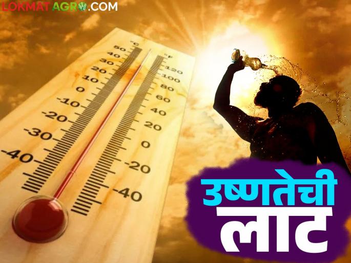Maharashtra Weather Update: Dry weather will be in 'this' district of the state; What does today's IMD report say? | Maharashtra Weather Update : राज्यातील 'या' जिल्ह्यात असेल कोरडे हवामान; काय सांगतोय आजचा IMD रिपोर्ट Maharashtra Weather Update: Dry weather will be in 'this' district of the state; What does today's IMD report say? | Maharashtra Weather Update : राज्यातील 'या' जिल्ह्यात असेल कोरडे हवामान; काय सांगतोय आजचा IMD रिपोर्ट