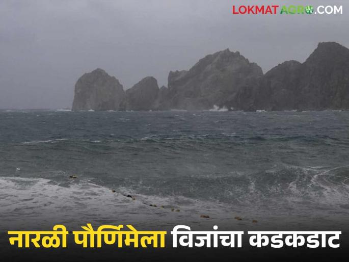 latest news Maharashtra Weather Update: Rain likely on Narali Purnima; Read the forecast of showers with thunder and lightning in detail | Maharashtra Weather Update : नारळी पौर्णिमेला पावसाची हजेरी; विजांच्या कडकडाटासह सरींचा अंदाज वाचा सविस्तर latest news Maharashtra Weather Update: Rain likely on Narali Purnima; Read the forecast of showers with thunder and lightning in detail | Maharashtra Weather Update : नारळी पौर्णिमेला पावसाची हजेरी; विजांच्या कडकडाटासह सरींचा अंदाज वाचा सविस्तर