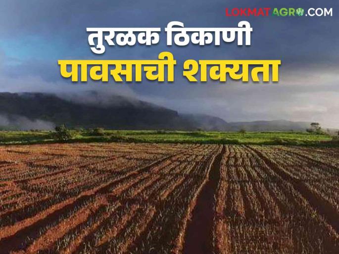 Maharashtra Weather Update : Southwest Monsoon rains will make an appearance in 'these' districts; Read the IMD report in detail | Maharashtra Weather Update : नैऋत्य मौसमी पाऊस 'या' जिल्ह्यांमध्ये लावणार हजेरी; IMD रिपोर्ट वाचा सविस्तर Maharashtra Weather Update : Southwest Monsoon rains will make an appearance in 'these' districts; Read the IMD report in detail | Maharashtra Weather Update : नैऋत्य मौसमी पाऊस 'या' जिल्ह्यांमध्ये लावणार हजेरी; IMD रिपोर्ट वाचा सविस्तर